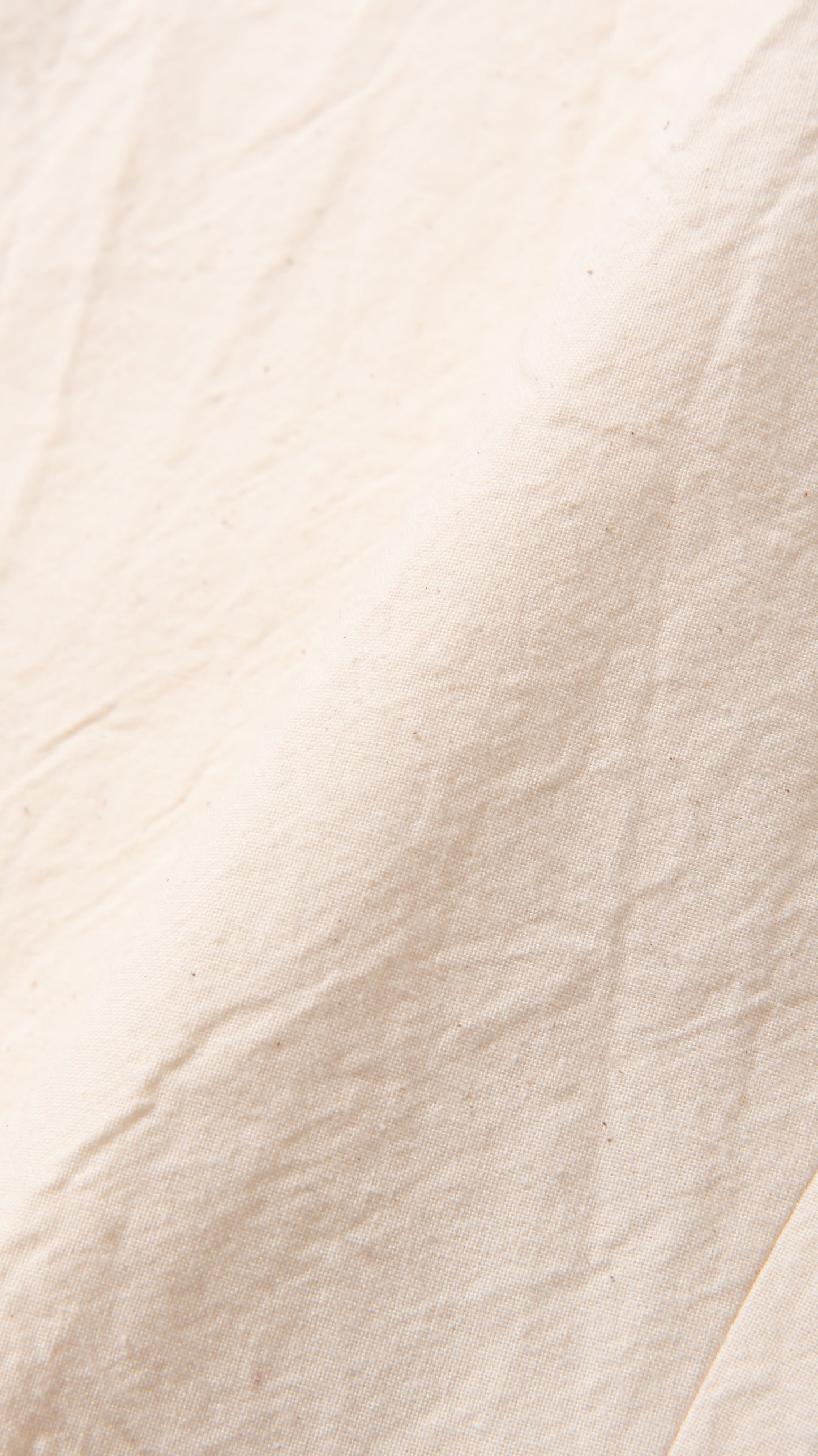 ovesized straight jacket pop out