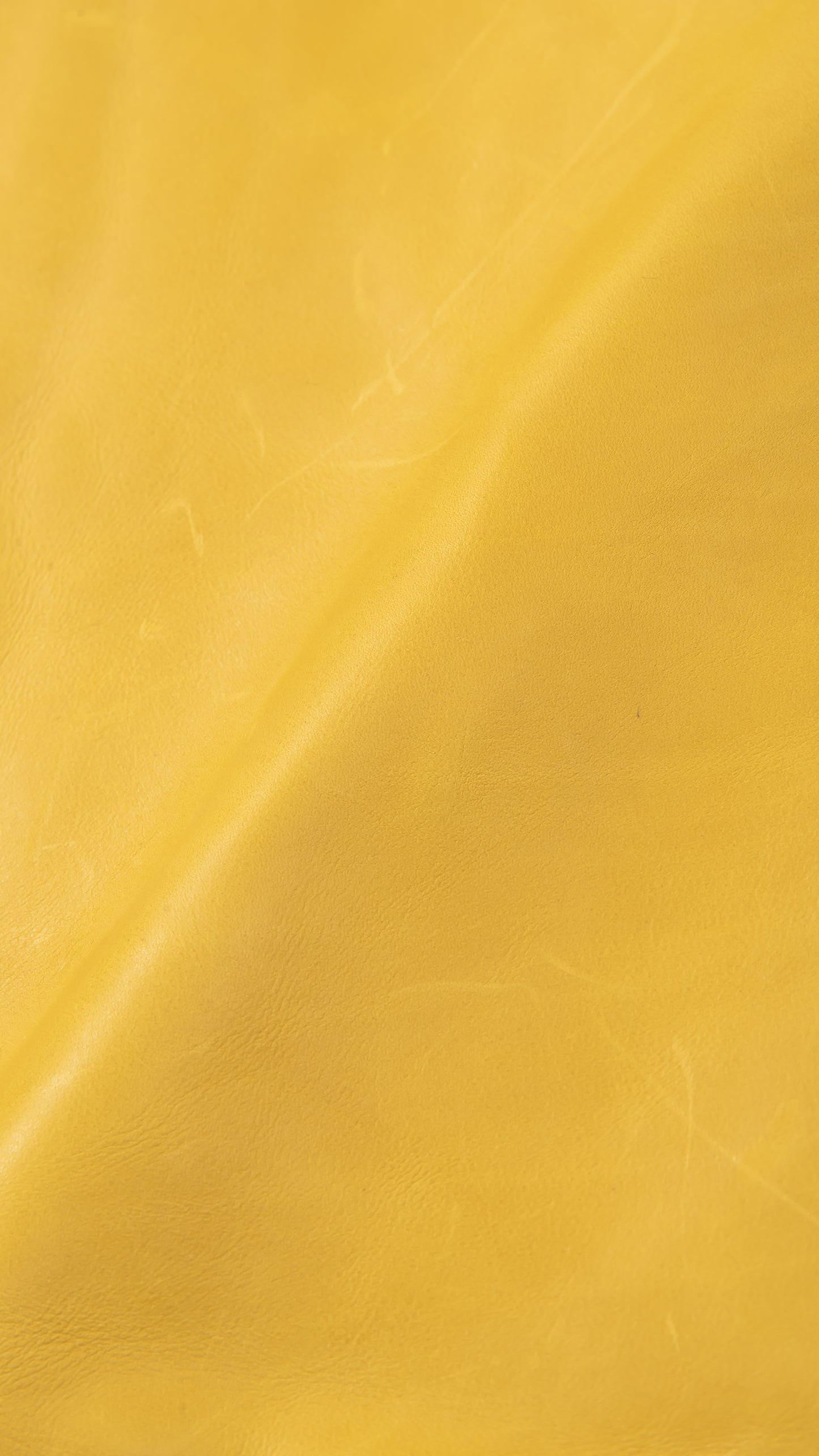 Single-breasted jacket